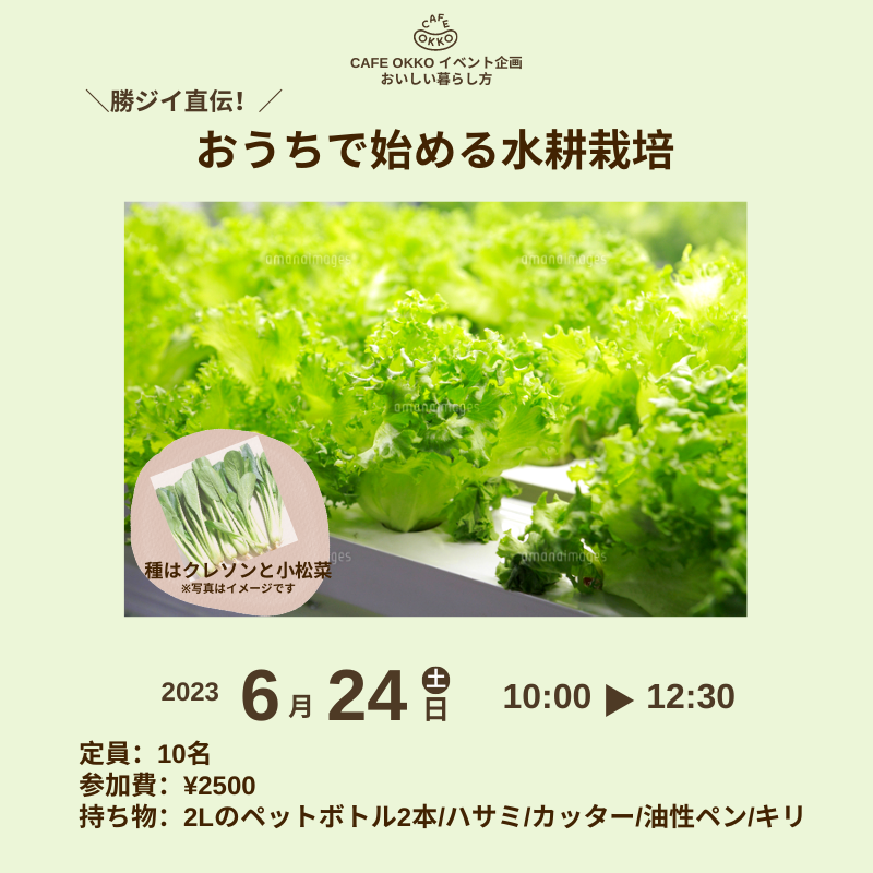 【5月予約発送】茨城県産 油麦菜 5kg 水耕栽培 5月予約発送】茨城県産 油麦菜 5kg 水耕栽培の通販 by 小茎ミドリ農園
